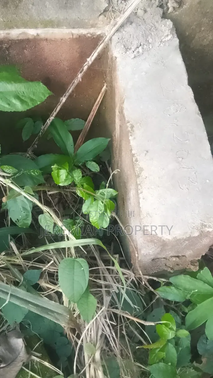 Land for Sale Ikorudu in Adamo