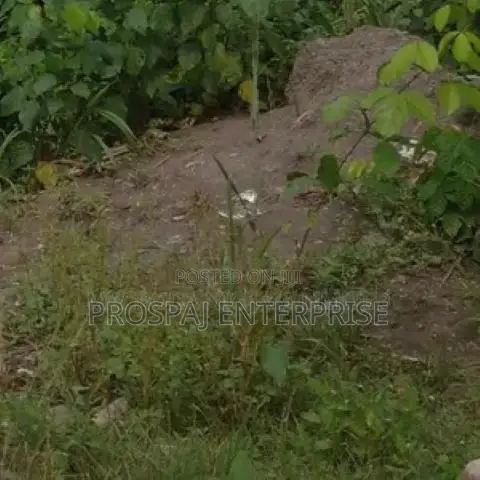 4 Acres of Land Available Along Lagos Ibadan Expressway in Obafemi-Owode