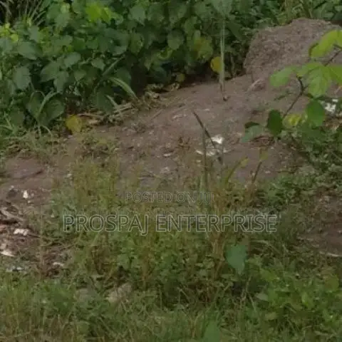 4 Acres of Land Available Along Lagos Ibadan Expressway in Obafemi-Owode
