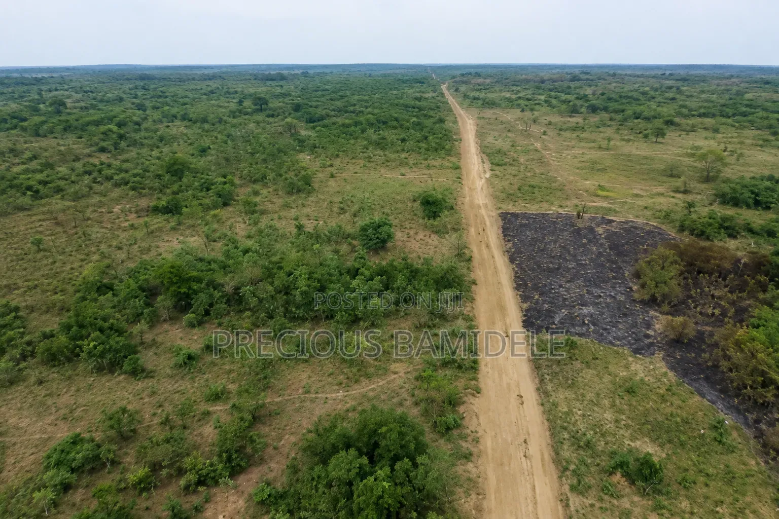 Farm Land for Sale Lease at Odagwa, Rivers State in Etche