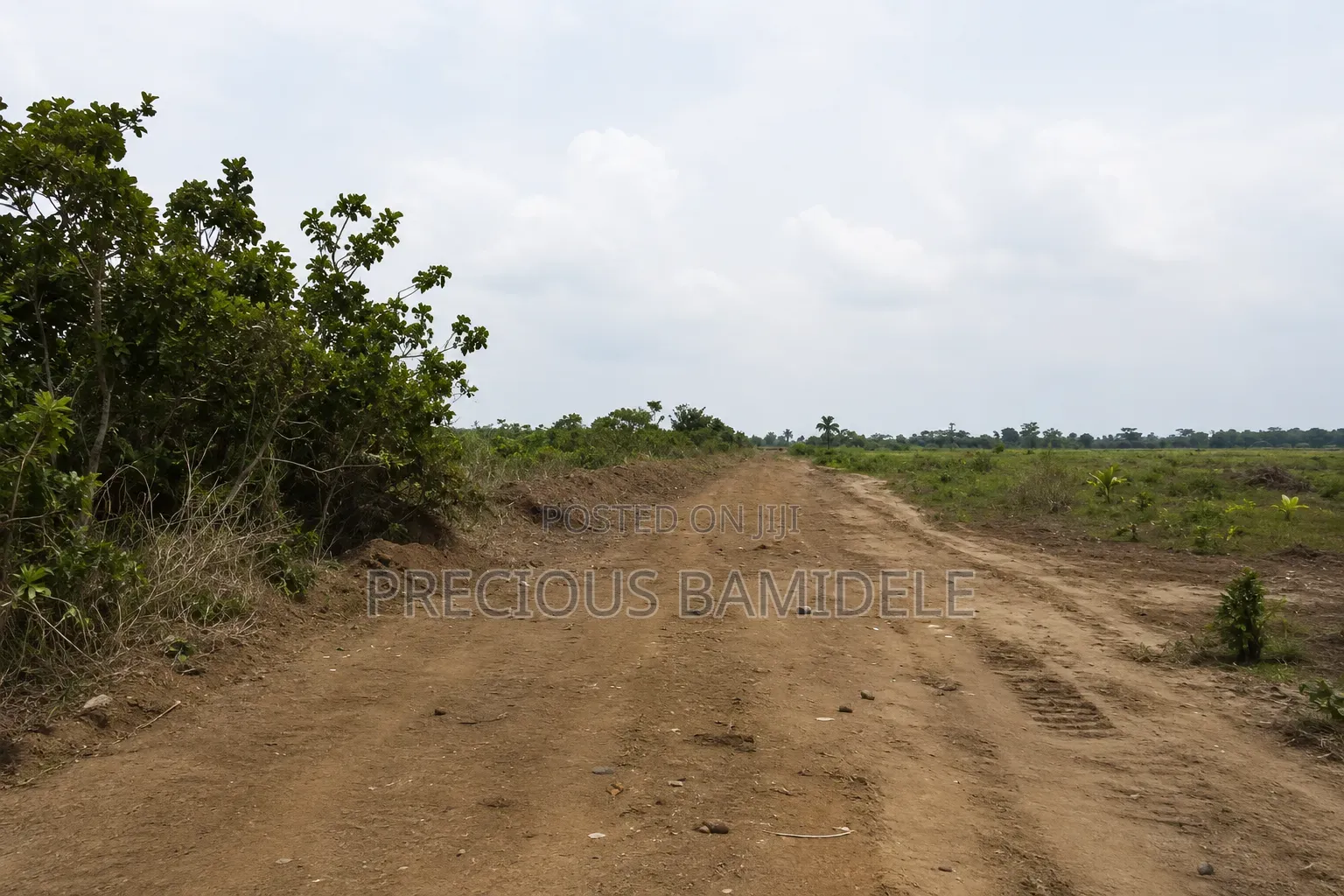 Farm Land for Sale Lease at Odagwa, Rivers State in Etche