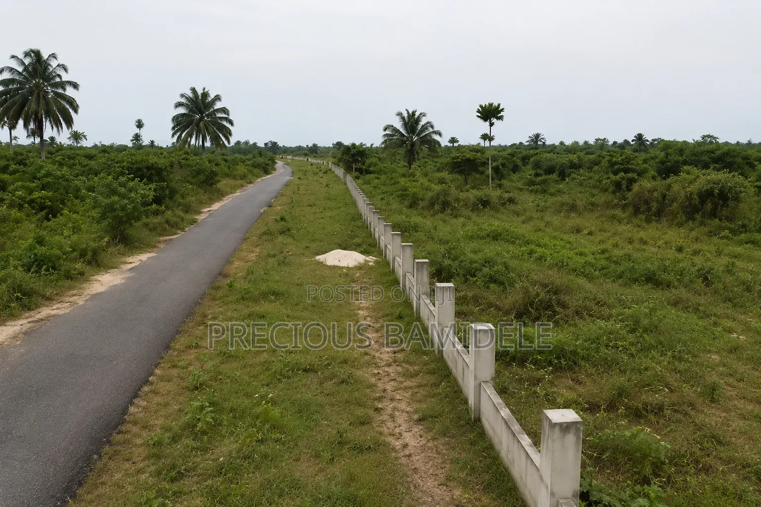 Farm Land for Sale Lease at Odagwa, Rivers State in Etche