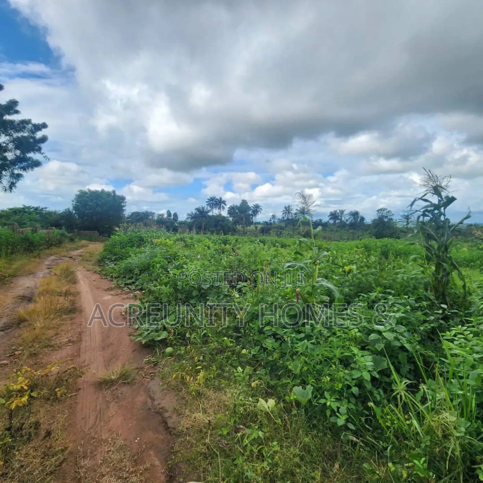 1 Acre of Land for Sale at Ijaye, 2 Minutes Drive Off Moniya-Ijaye Exp in Akinyele