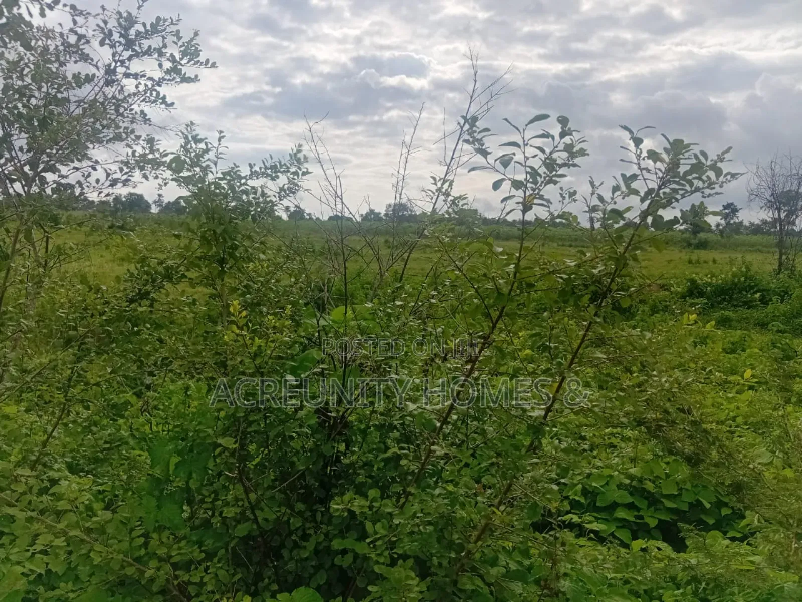 200 Acres of Fertile Farmland for Sale, Adekola, Iseyin LGA, Oyo State in Iseyin