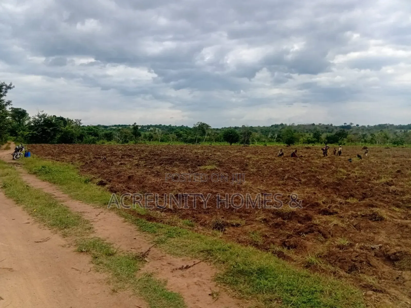 200 Acres of Fertile Farmland for Sale, Adekola, Iseyin LGA, Oyo State in Iseyin