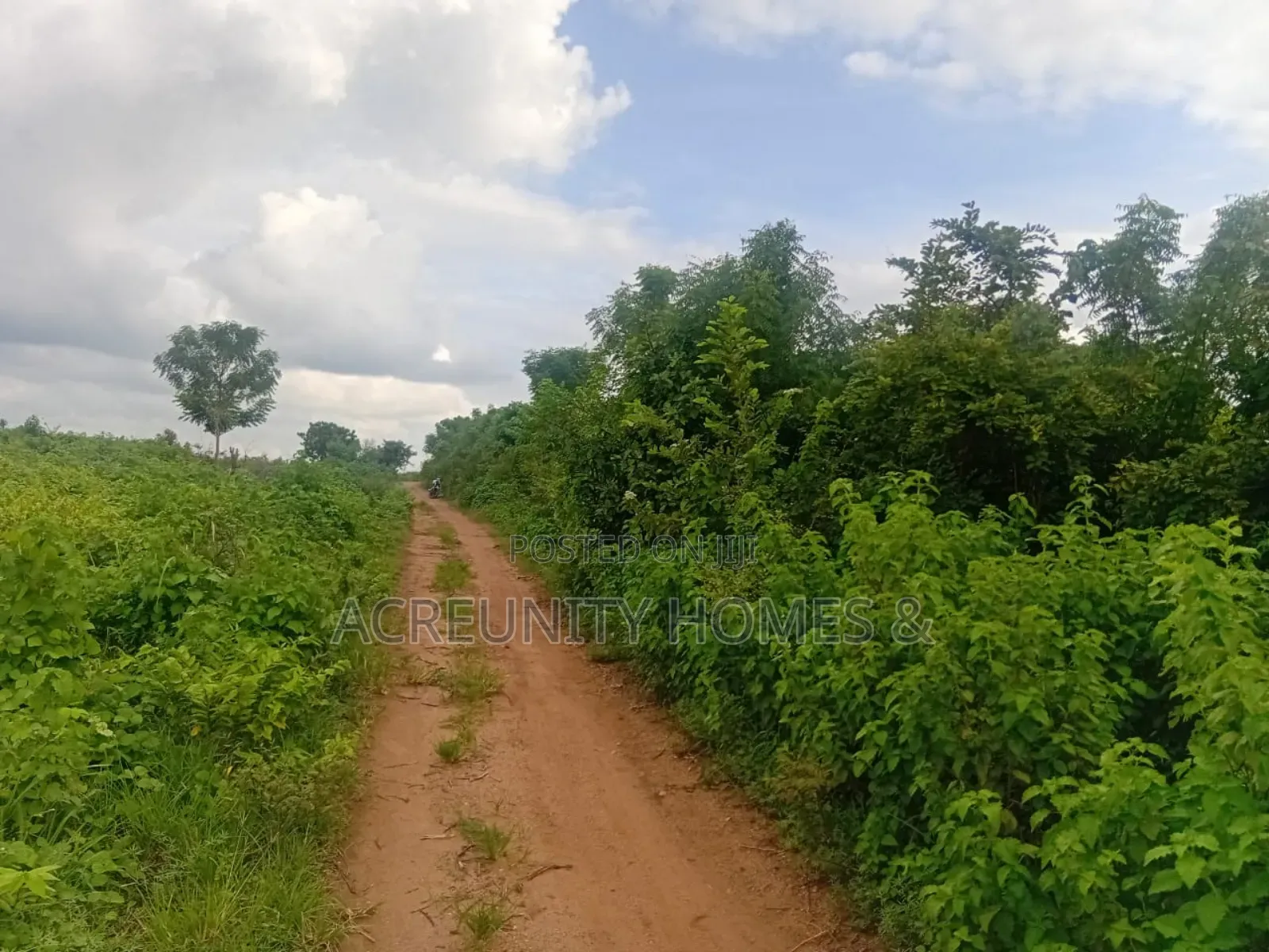 200 Acres of Fertile Farmland for Sale, Waasimi, Iseyin LGA, Oyo State in Iseyin