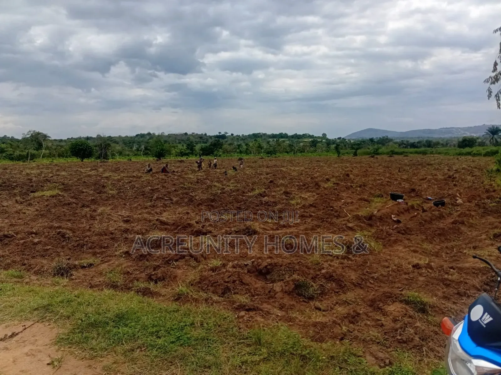 200 Acres of Fertile Farmland for Sale, Waasimi, Iseyin LGA, Oyo State in Iseyin