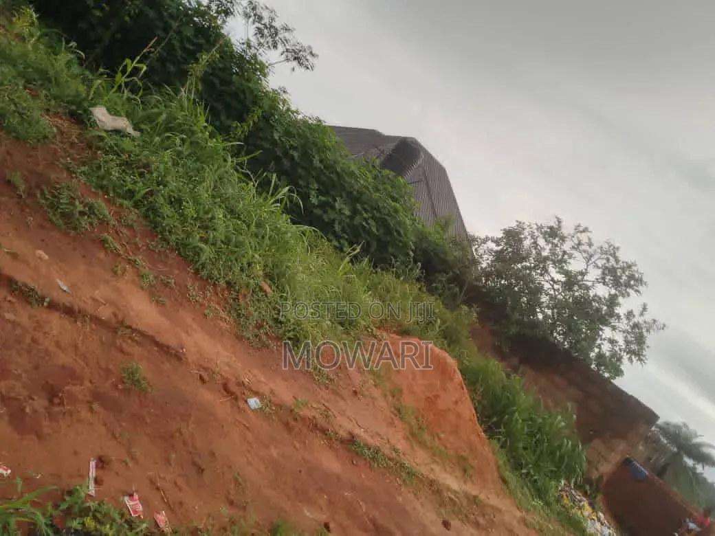 Before Owning Land in Ibusa, Check This First. in Oshimili North