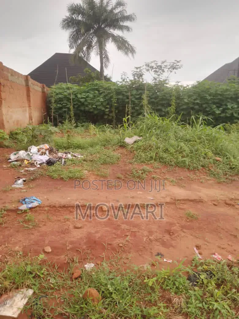 Before Owning Land in Ibusa, Check This First. in Oshimili North