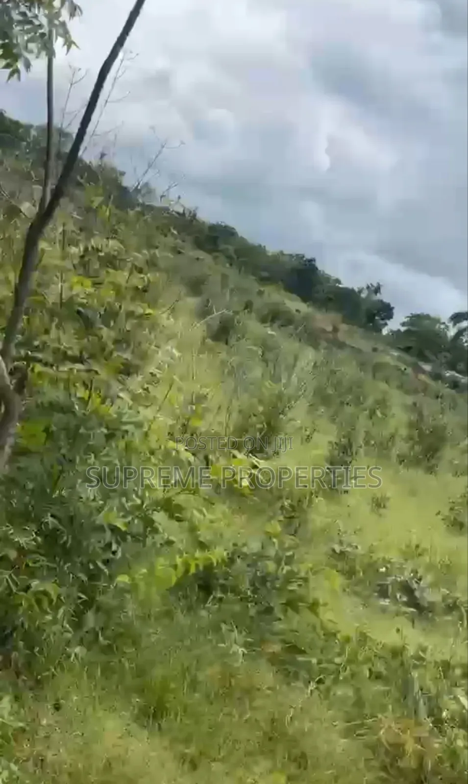 5 Plots of Farm Land at Moniya-Ijaye Road, Oke Oluyori in Ibadan