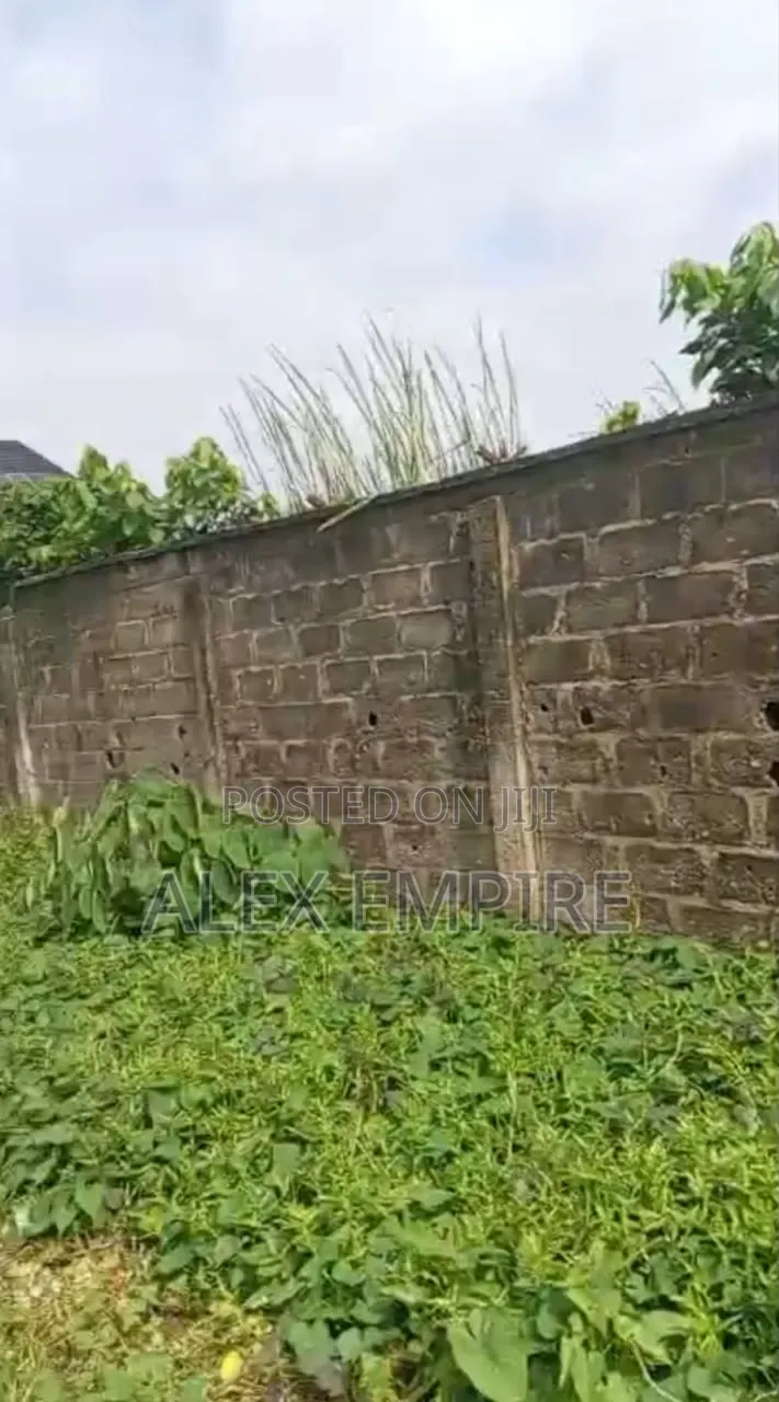 Plot of Land for Sale in Amuwo Odofin in Festac