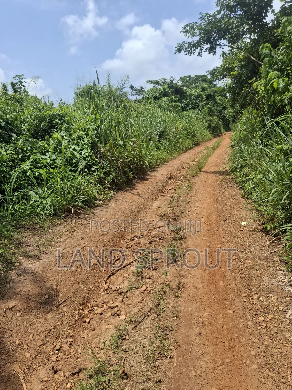1000 Acres of Farmland at Gbàgbé, Ido, Ibadan in Ido