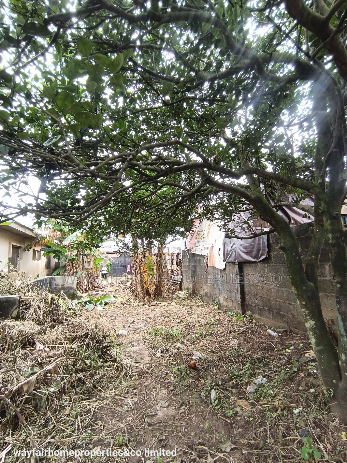 Almost Half Plot of Land for Sale in Ayobo in Ayobo
