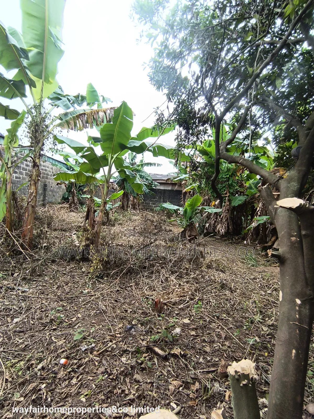 Almost Half Plot of Land for Sale in Ayobo in Ayobo
