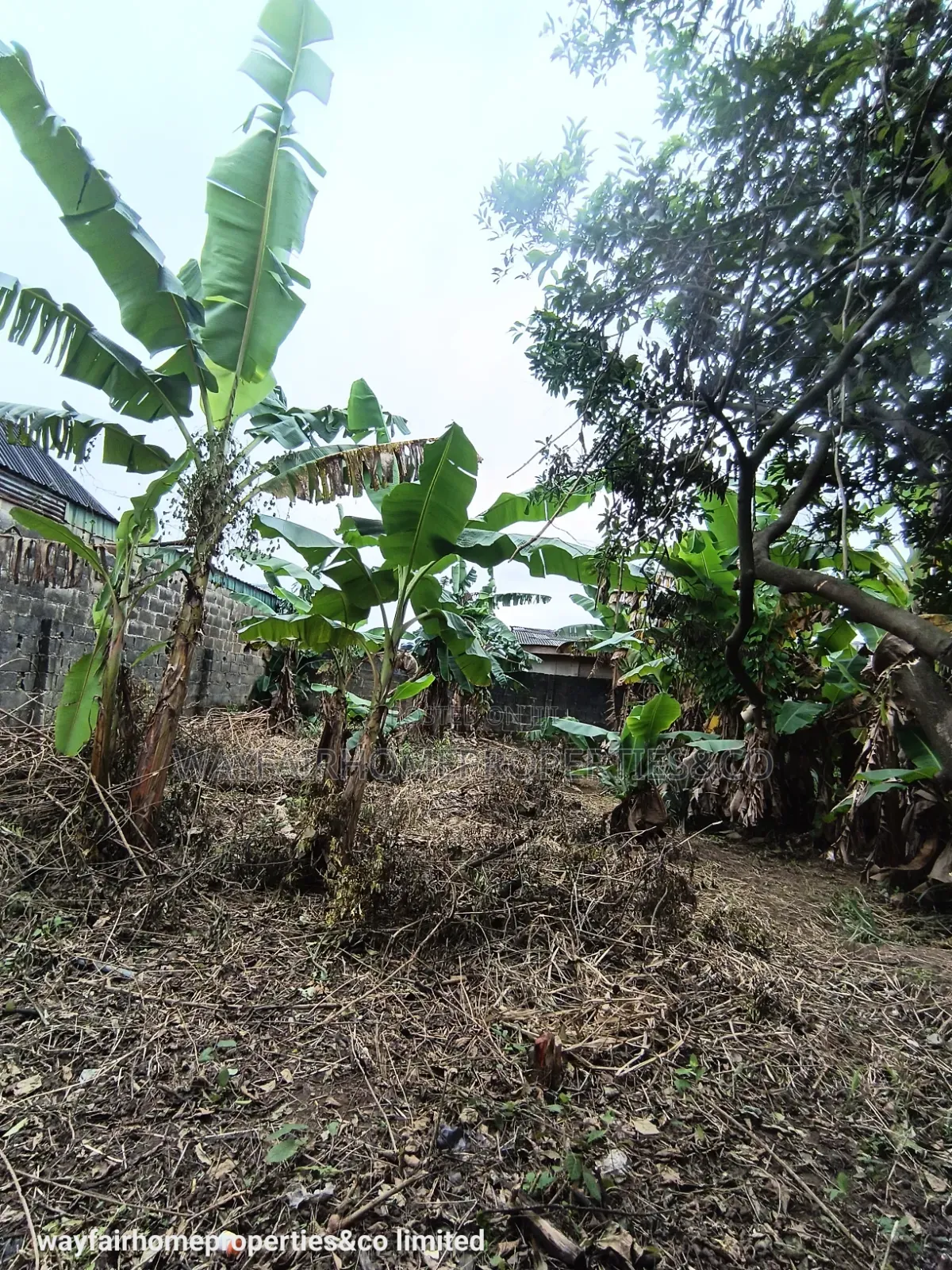 Almost Half Plot of Land for Sale in Ayobo in Ayobo