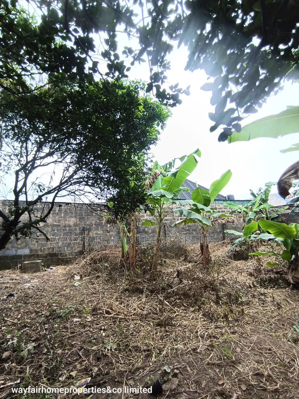 Almost Half Plot of Land for Sale in Ayobo in Ayobo