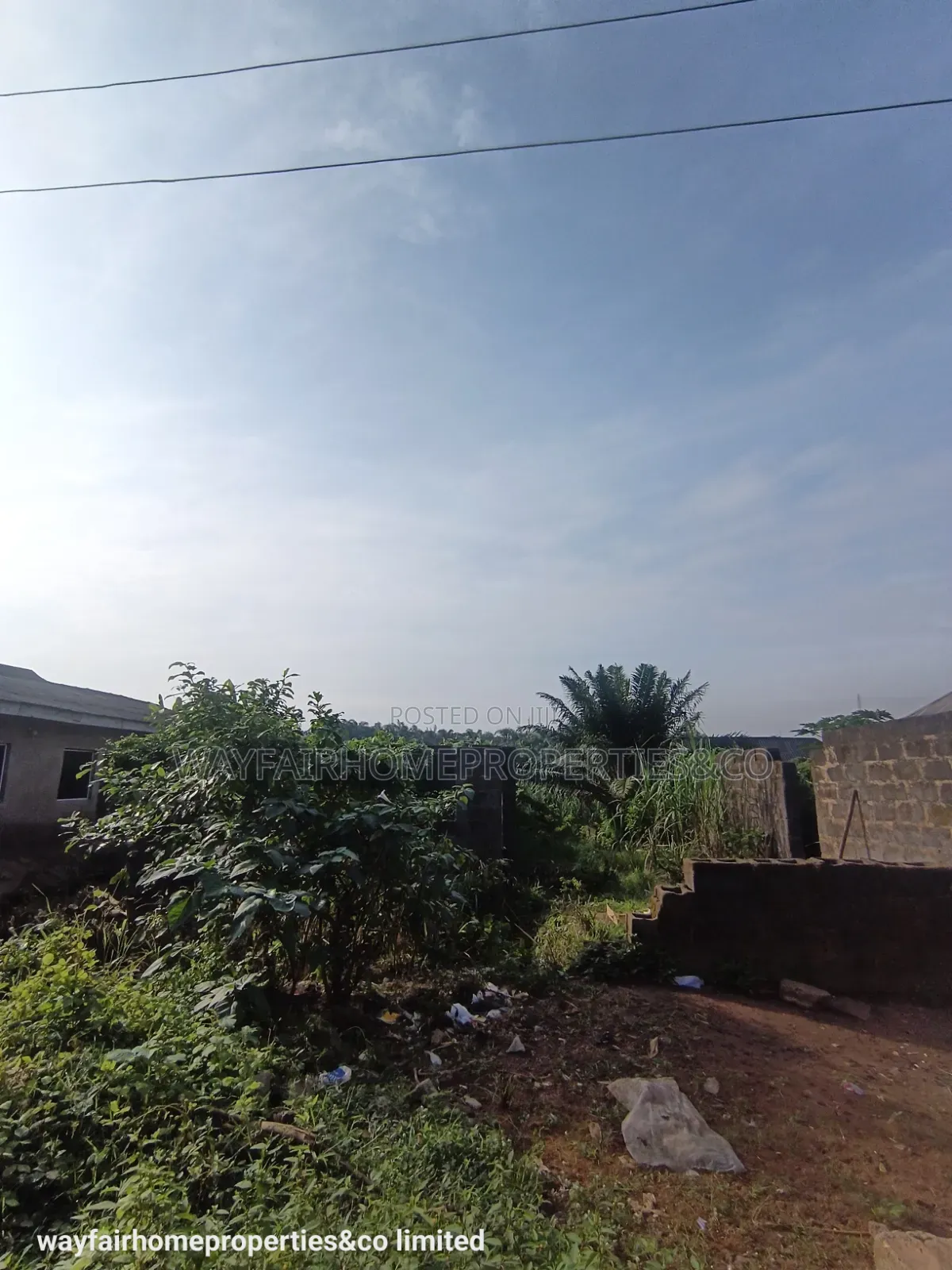 Half Plot of Land for Sale in Ayobo Lagos in Ayobo