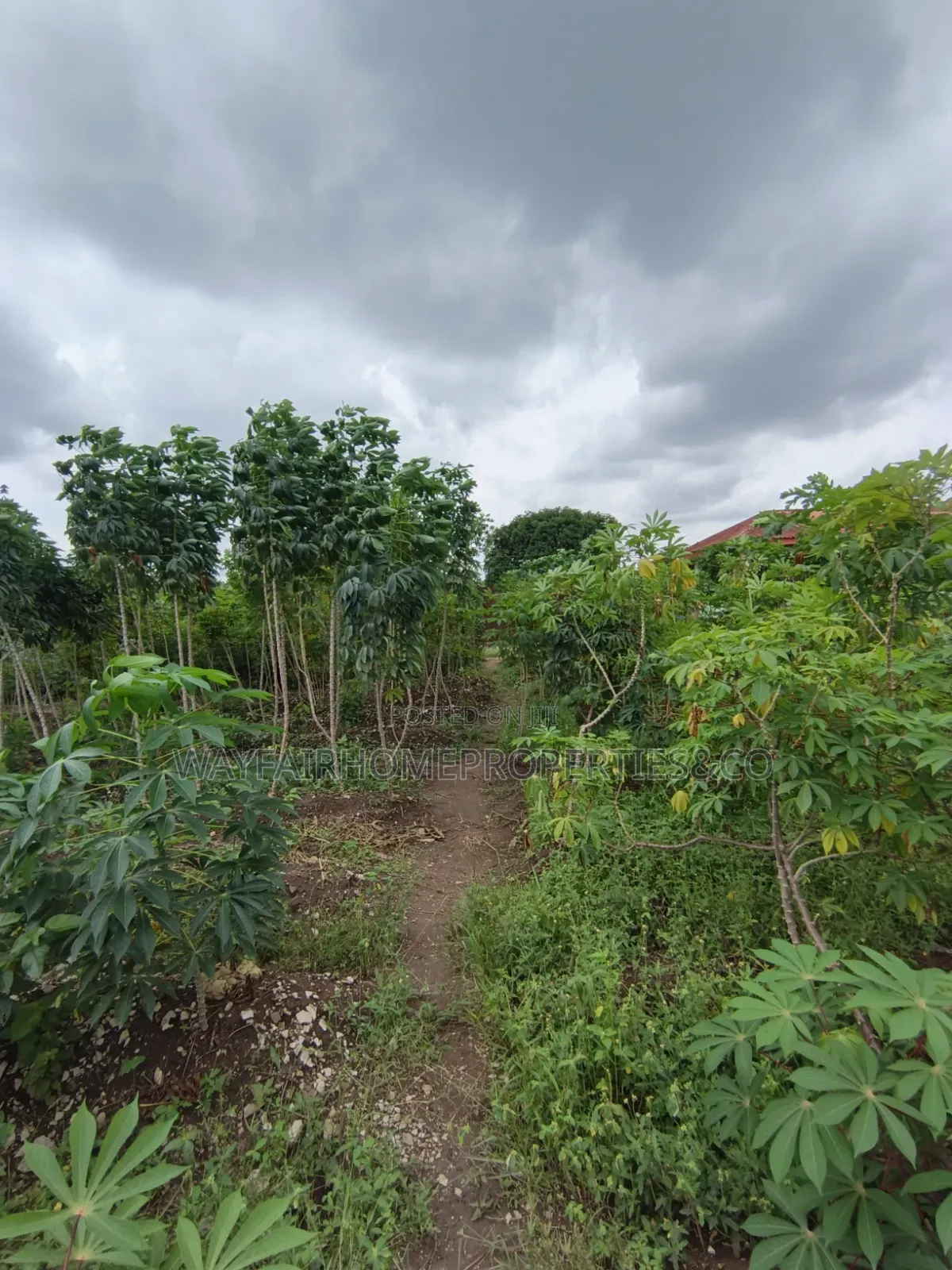 Half Plot of Land for Sale in Ayobo Lagos in Ayobo