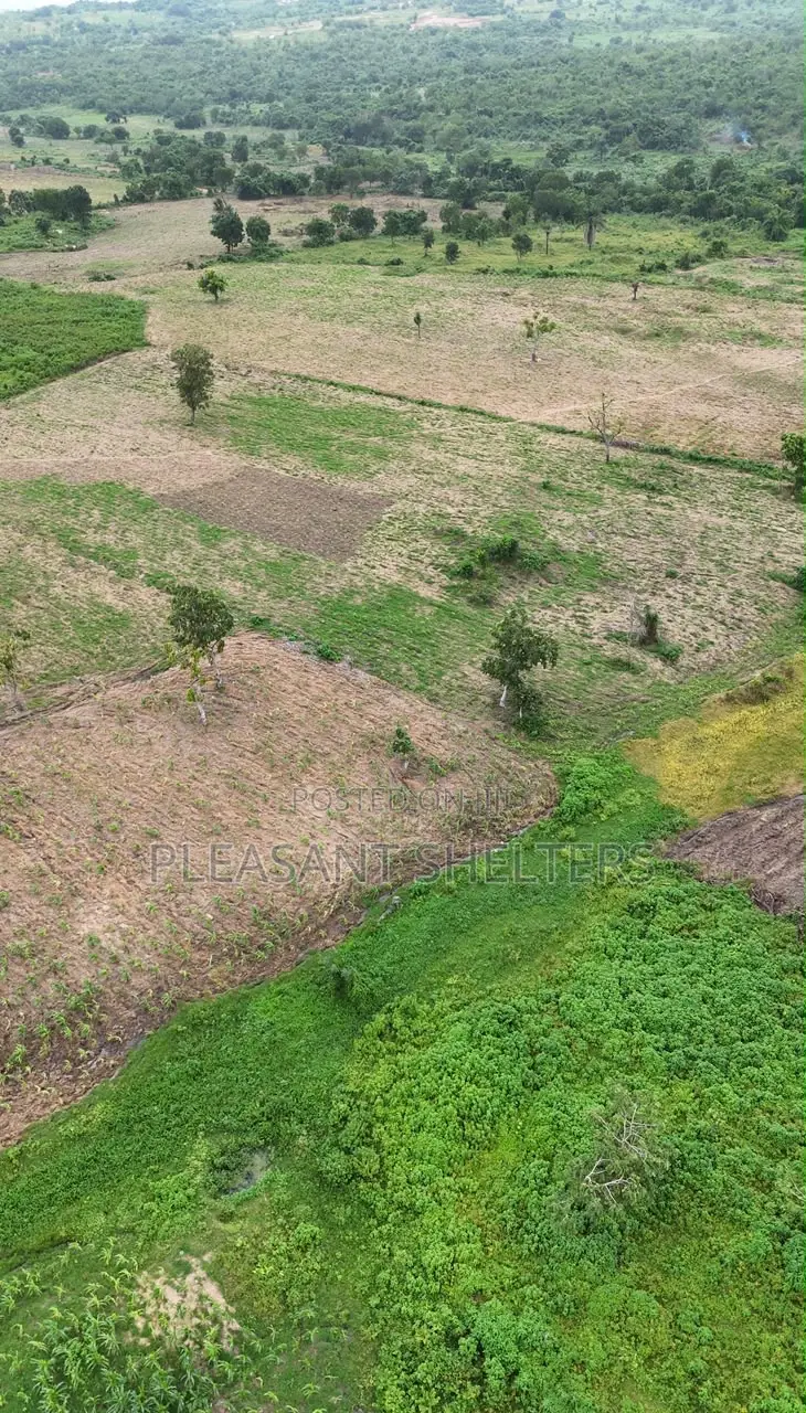 Next Generation Farm City Extension in Odeda