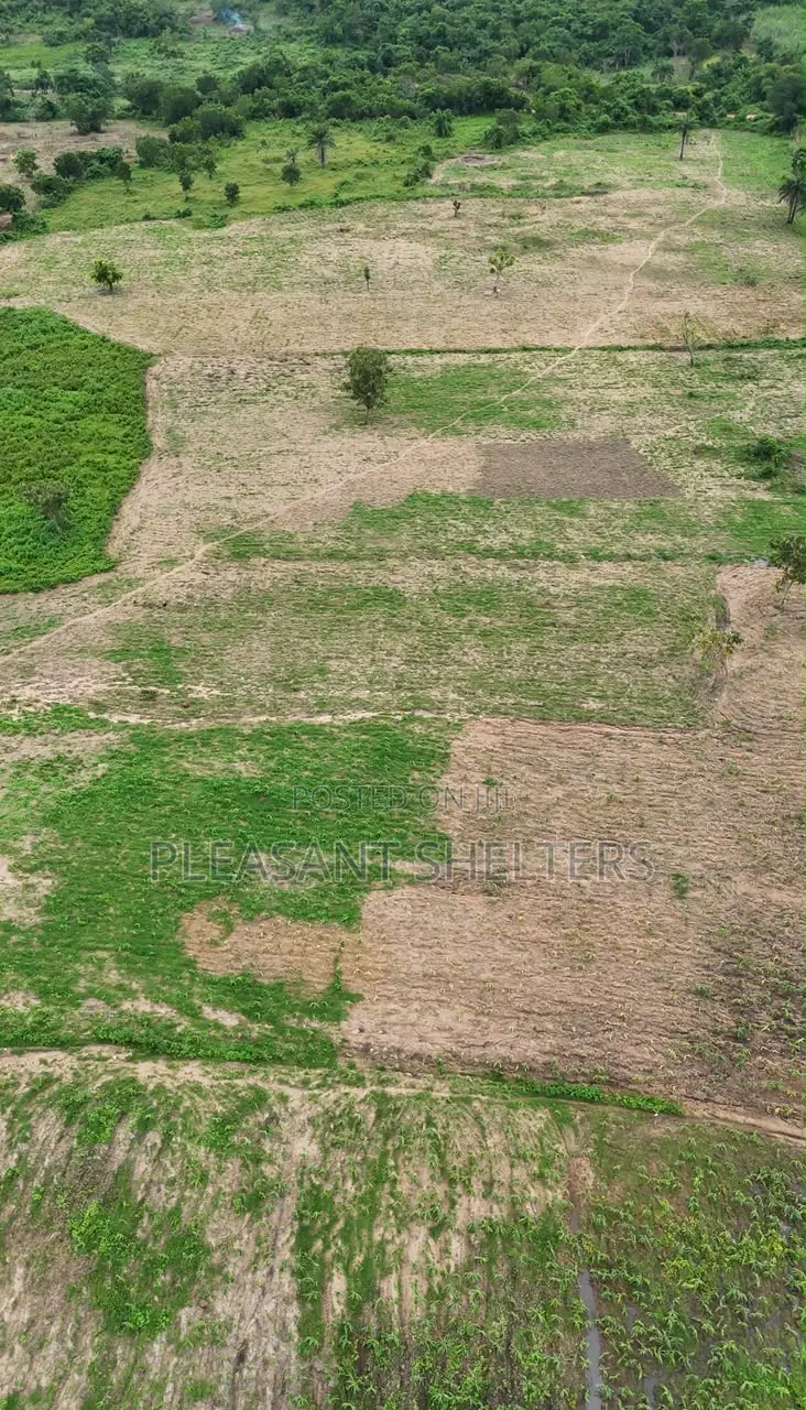 Next Generation Farm City Extension in Odeda