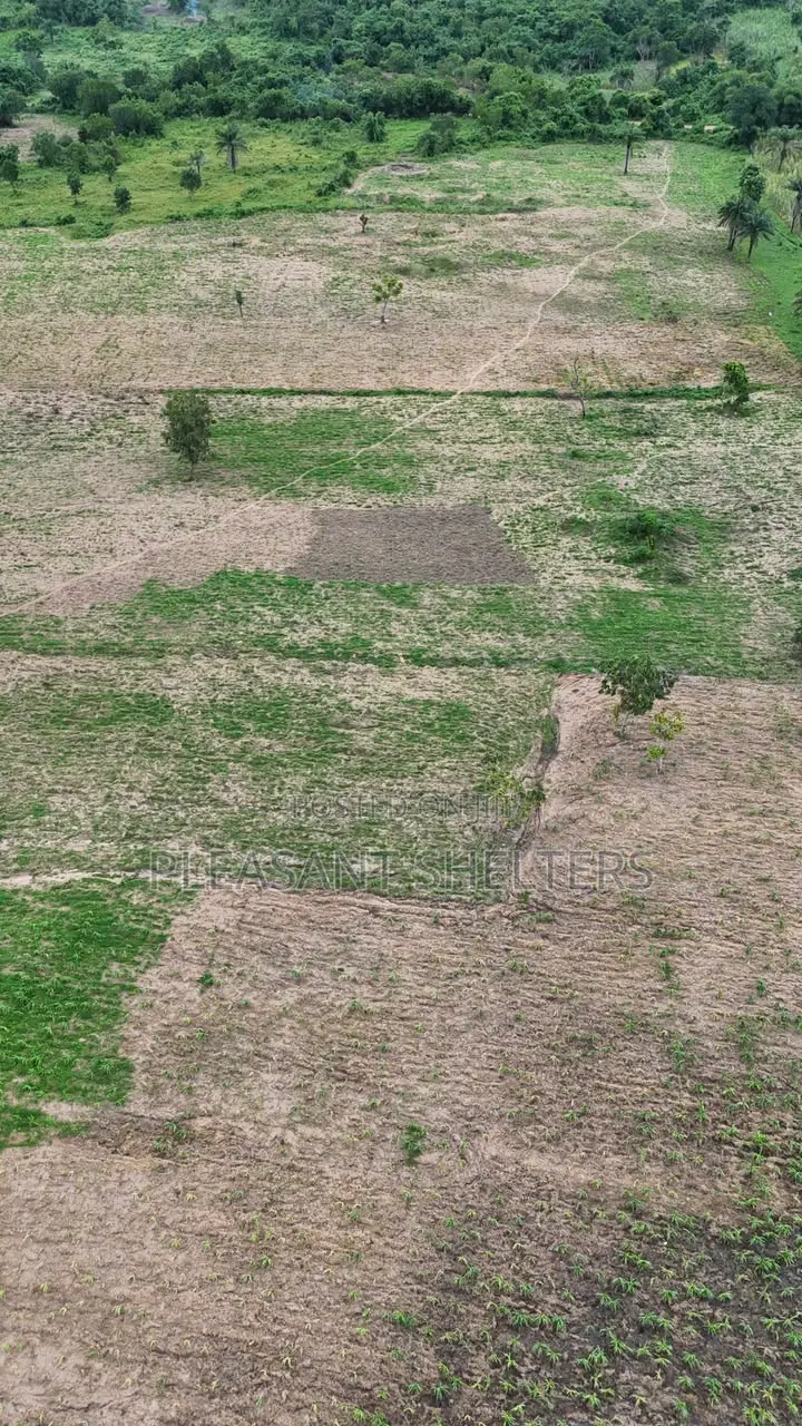Next Generation Farm City Extension in Odeda
