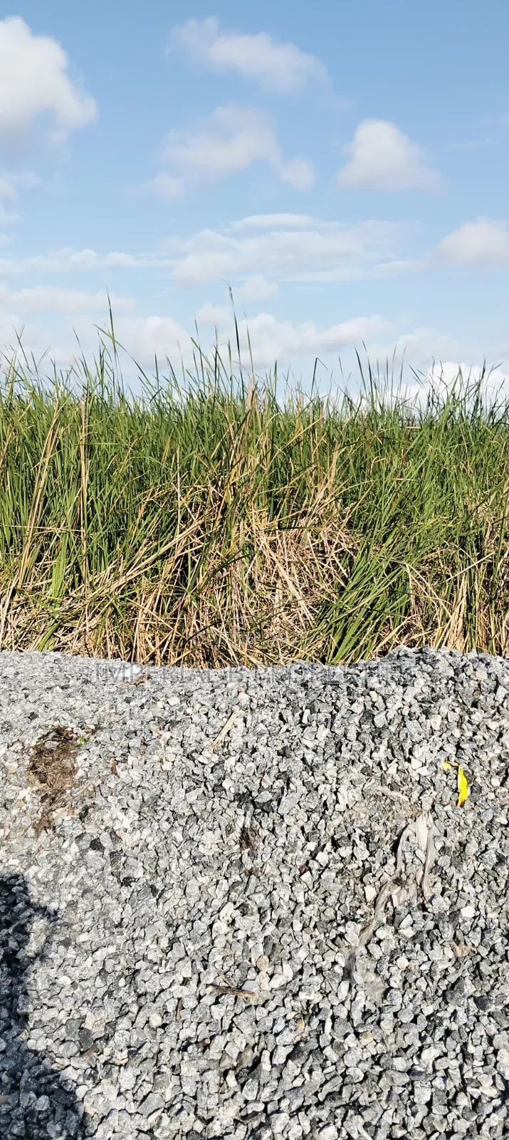 600 SQM Buy and Build Estate Land With C of O in Orange Island
