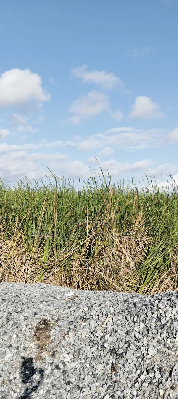 600 SQM Buy and Build Estate Land With C of O in Orange Island