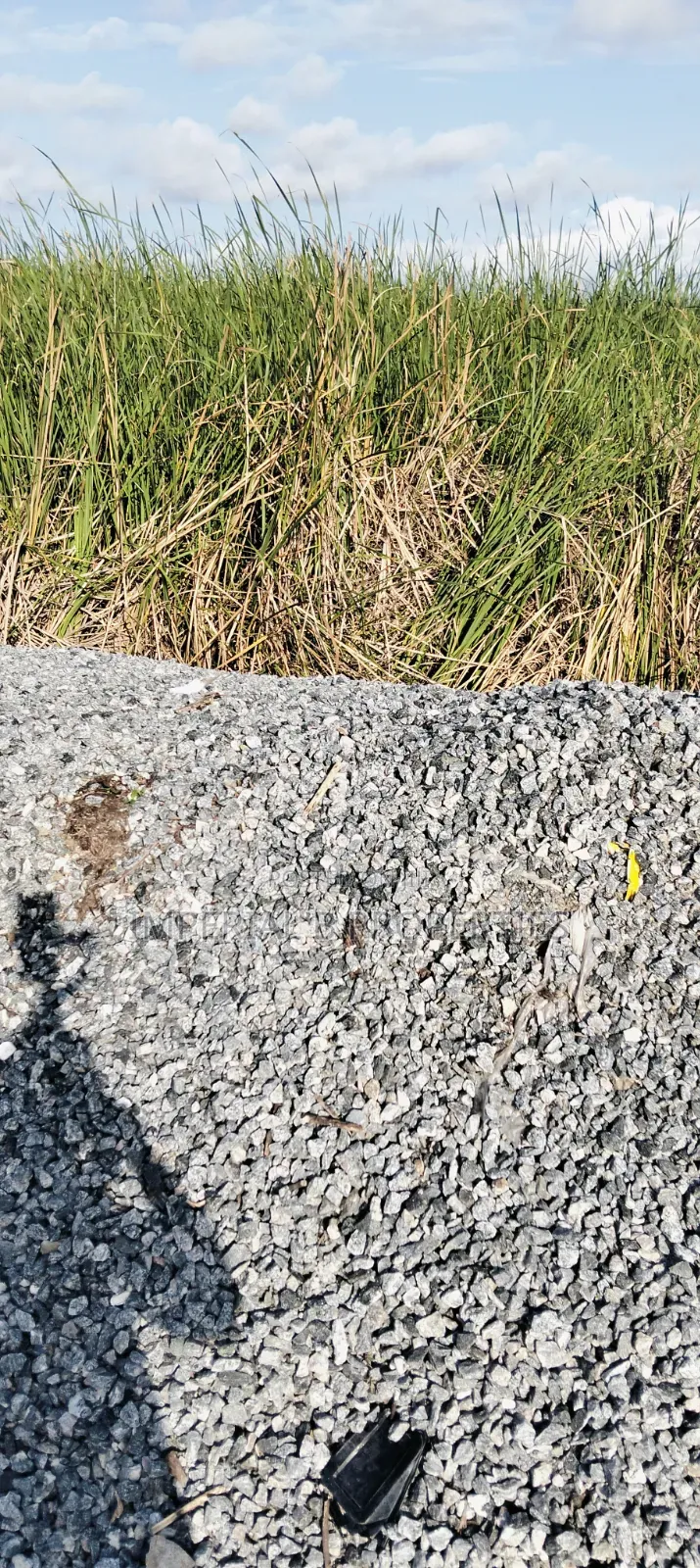 600 SQM Buy and Build Estate Land With C of O in Orange Island