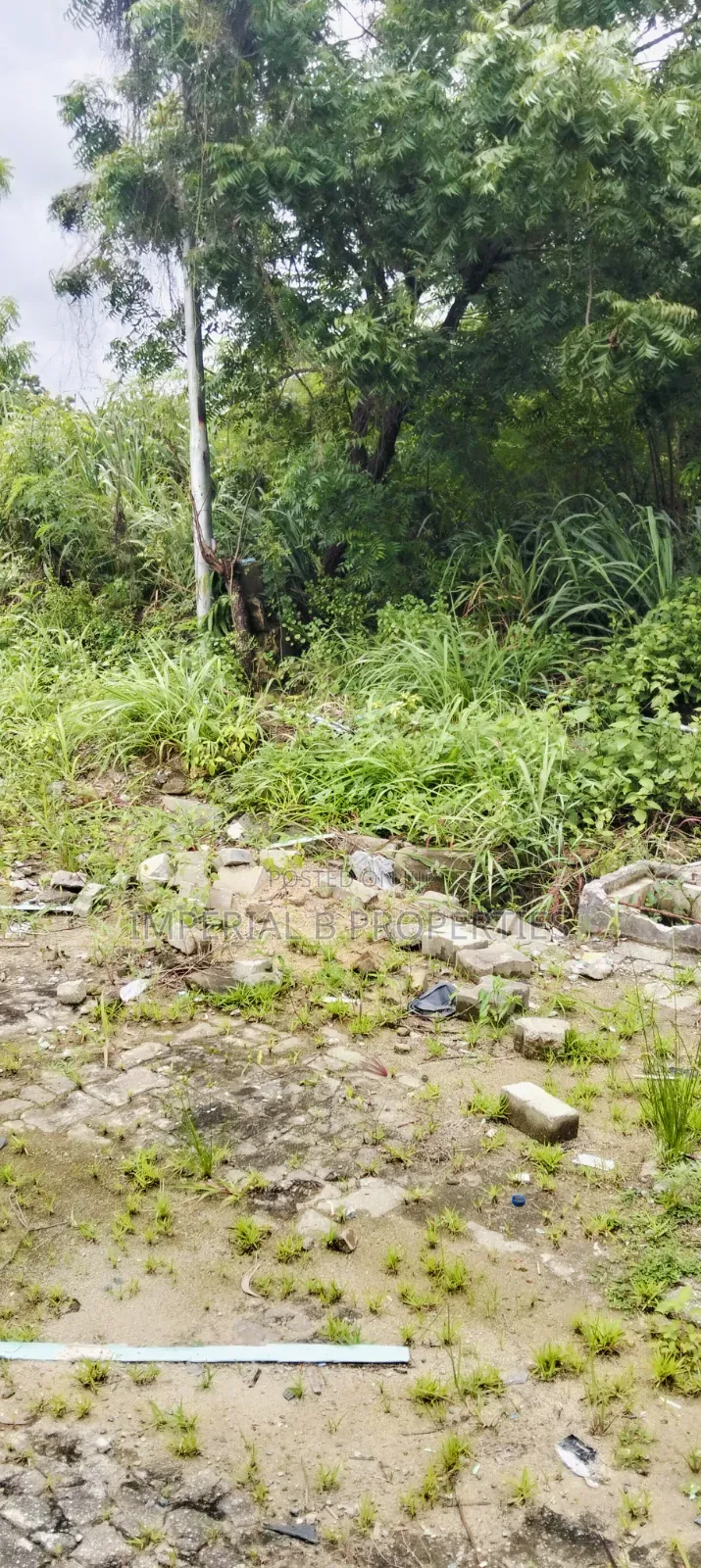 Victoria Garth Castle Estate by VGC Ajah Lagos in VGC / Ajah