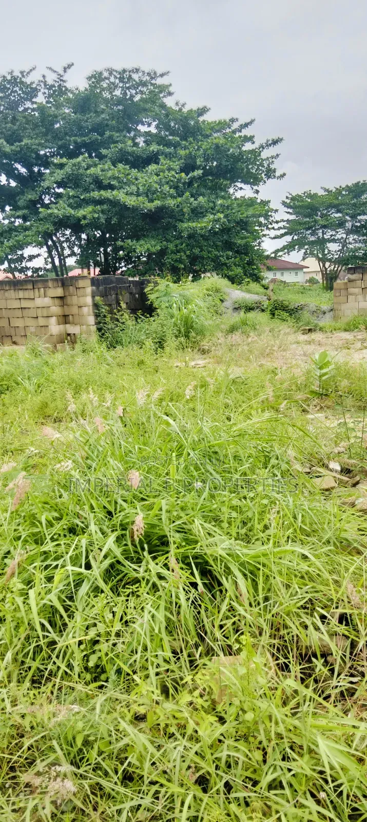 Victoria Garth Castle Estate by VGC Ajah Lagos in VGC / Ajah