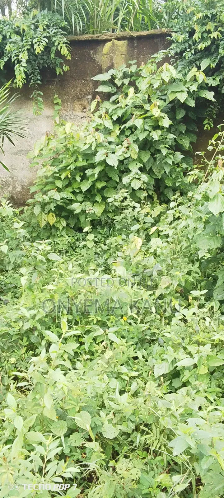 6 Fenced Plots Facing Obuaku City. in Ukwa