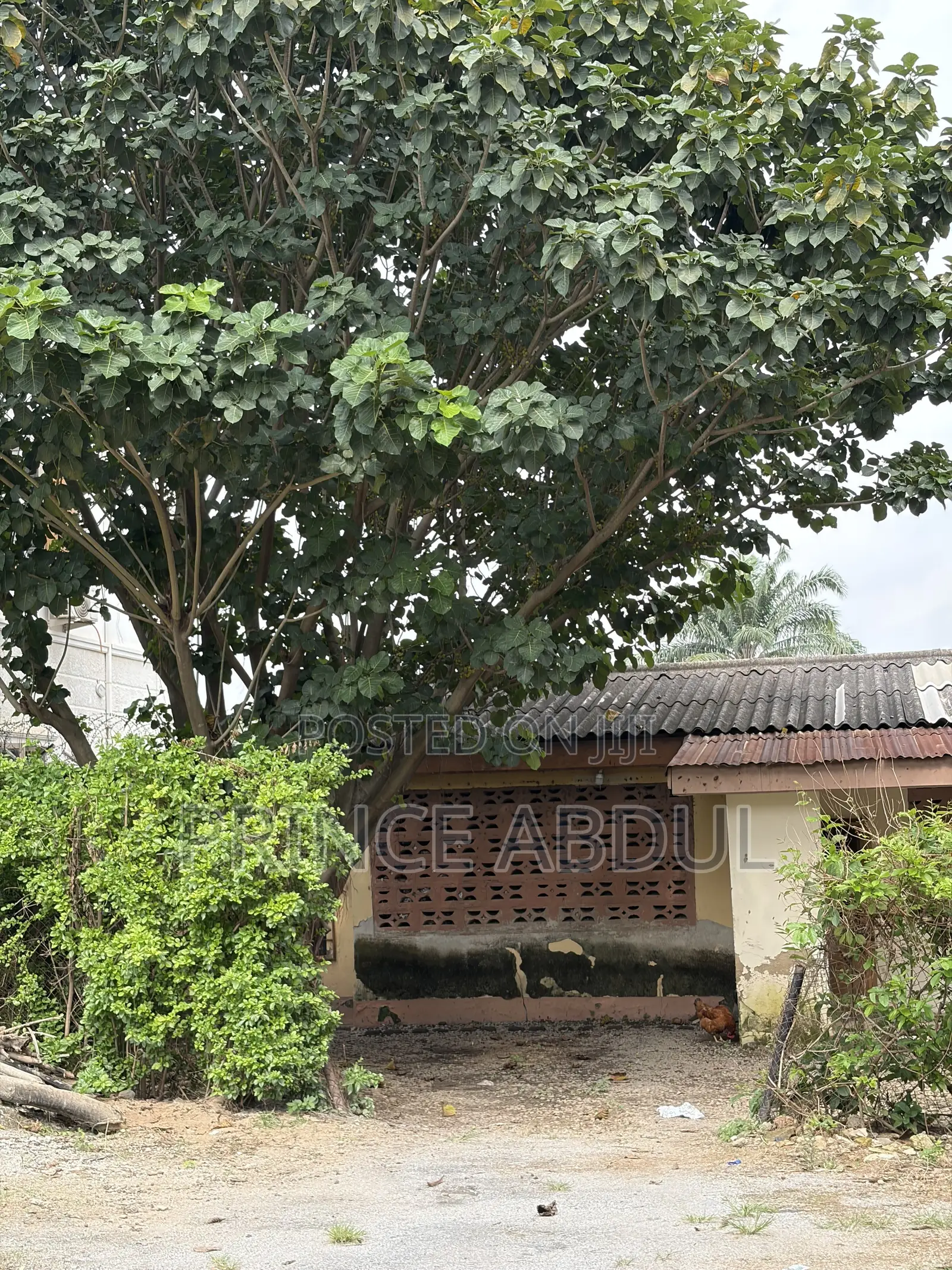 Furnished 1bdrm Apartment in Life Camp for sale in Life Camp