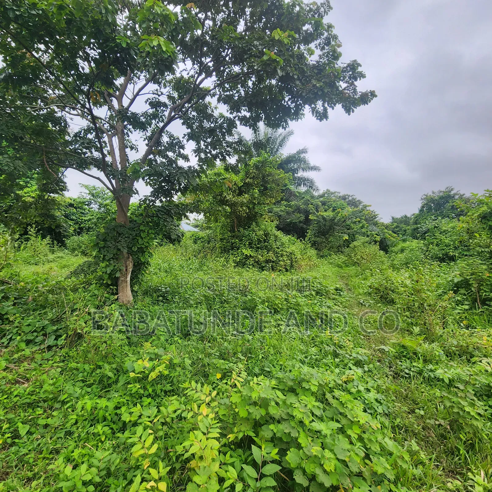A Plot of Land for Sale Taiwo Olobi, Moniya Express, Moniya Ibadan in Moniya