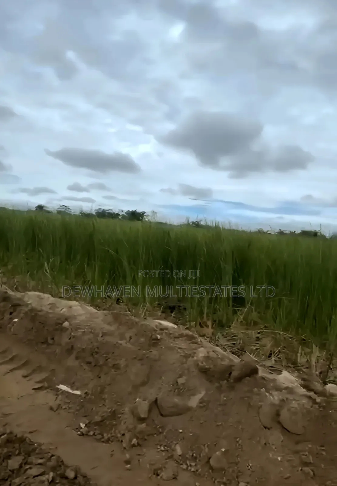 2 Hectare Land Suitable for Mass Housing Estate for Sale in Sangotedo in Sangotedo