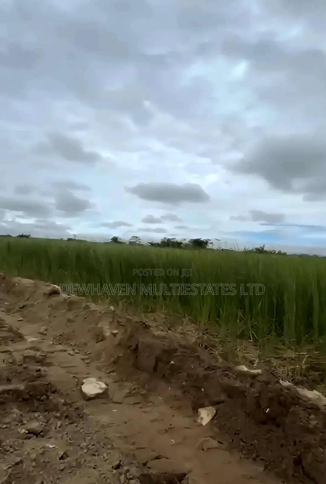 2 Hectare Land Suitable for Mass Housing Estate for Sale in Sangotedo in Sangotedo