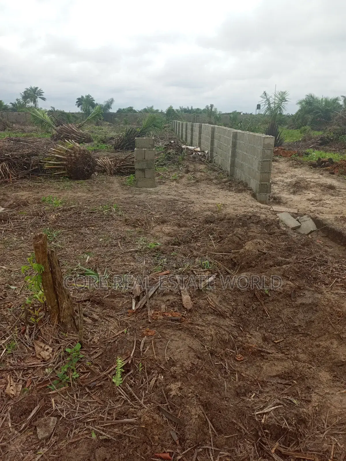 C of O Land for Sale Opposite Lekki Internationa Airport | Ibeju-Lekki in Ibeju