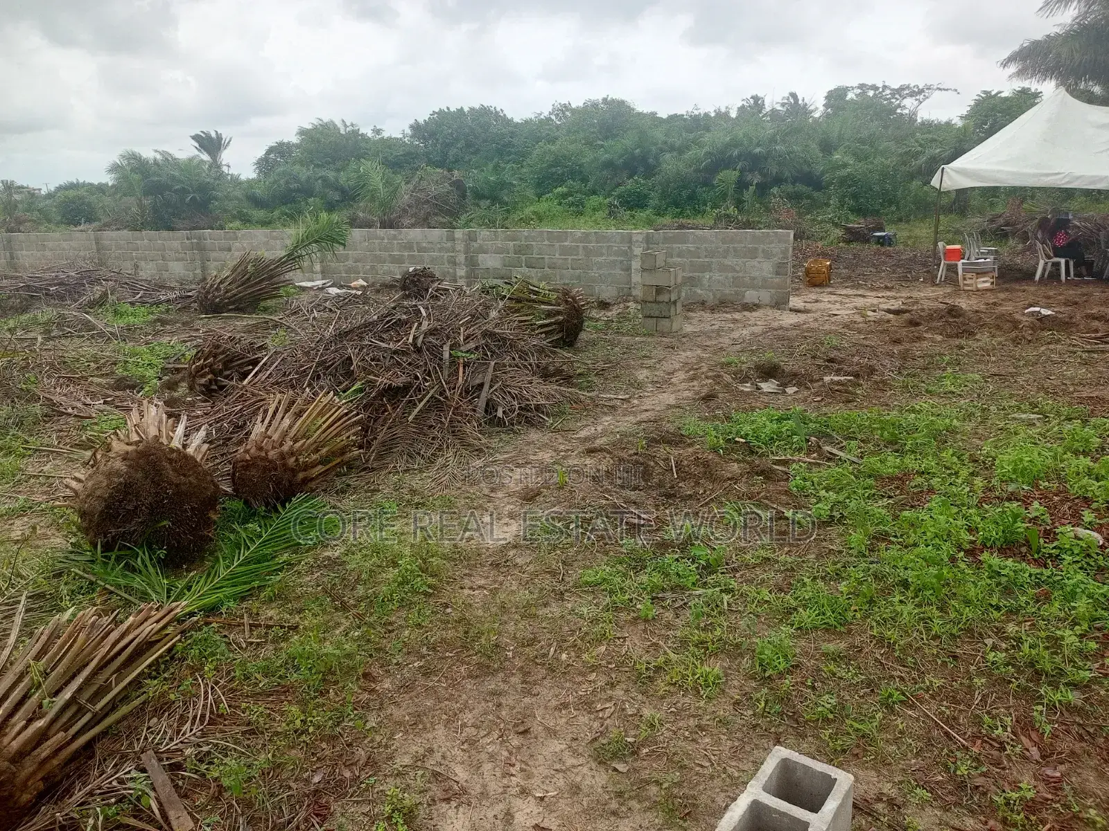C of O Land for Sale Opposite Lekki Internationa Airport | Ibeju-Lekki in Ibeju
