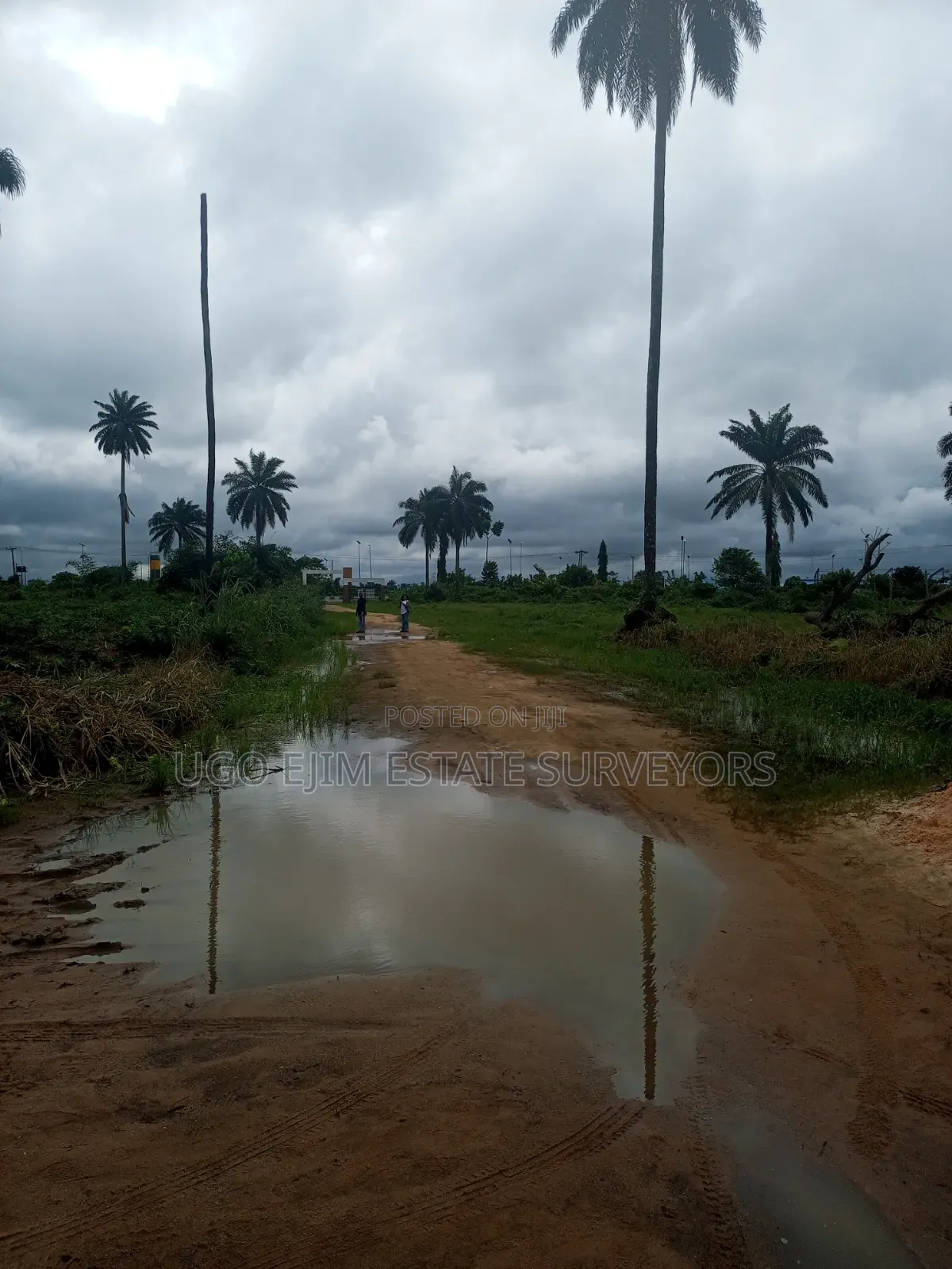 Forty-Two (42) Plots of Land for Sale in Port-Harcourt