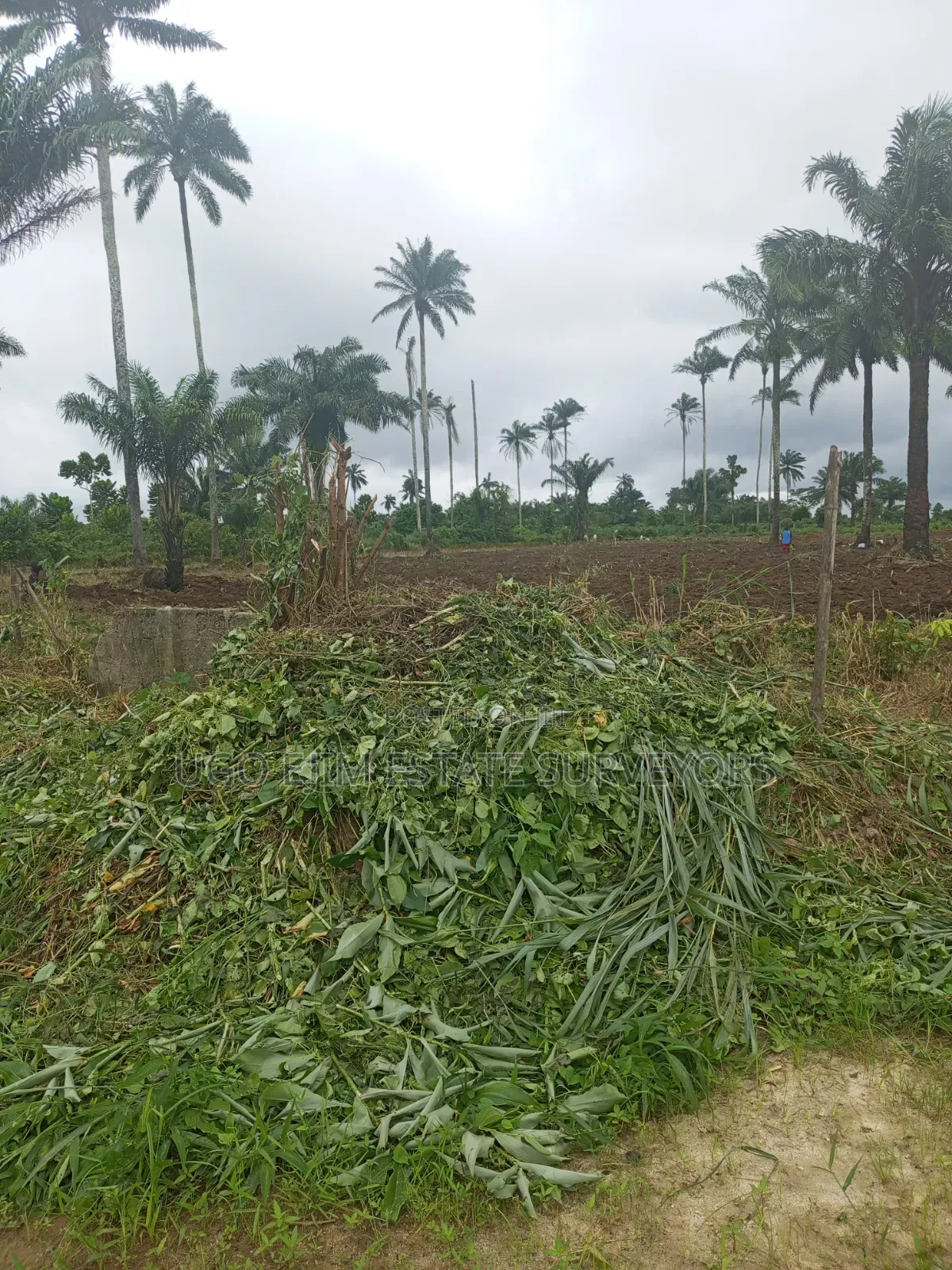 Forty-Two (42) Plots of Land for Sale in Port-Harcourt