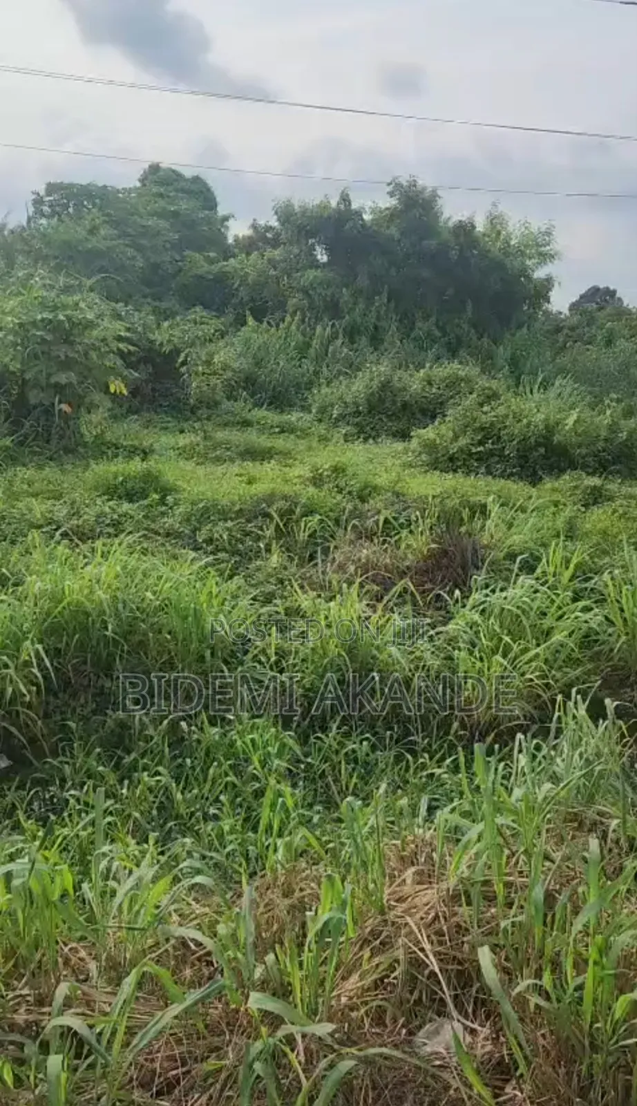 3 Acres Facing Lagos–ibadan Expressway | C of O | in Obafemi-Owode
