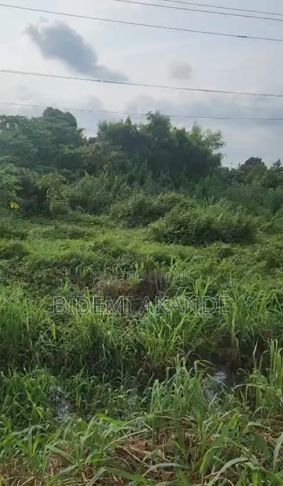 3 Acres Facing Lagos–ibadan Expressway | C of O | in Obafemi-Owode