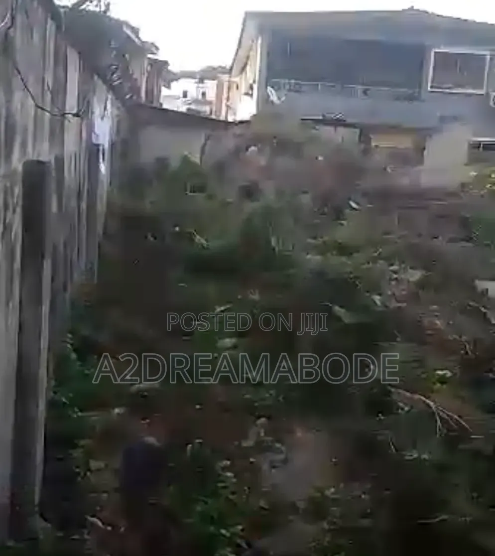 Exclusive Bareland in Oregun