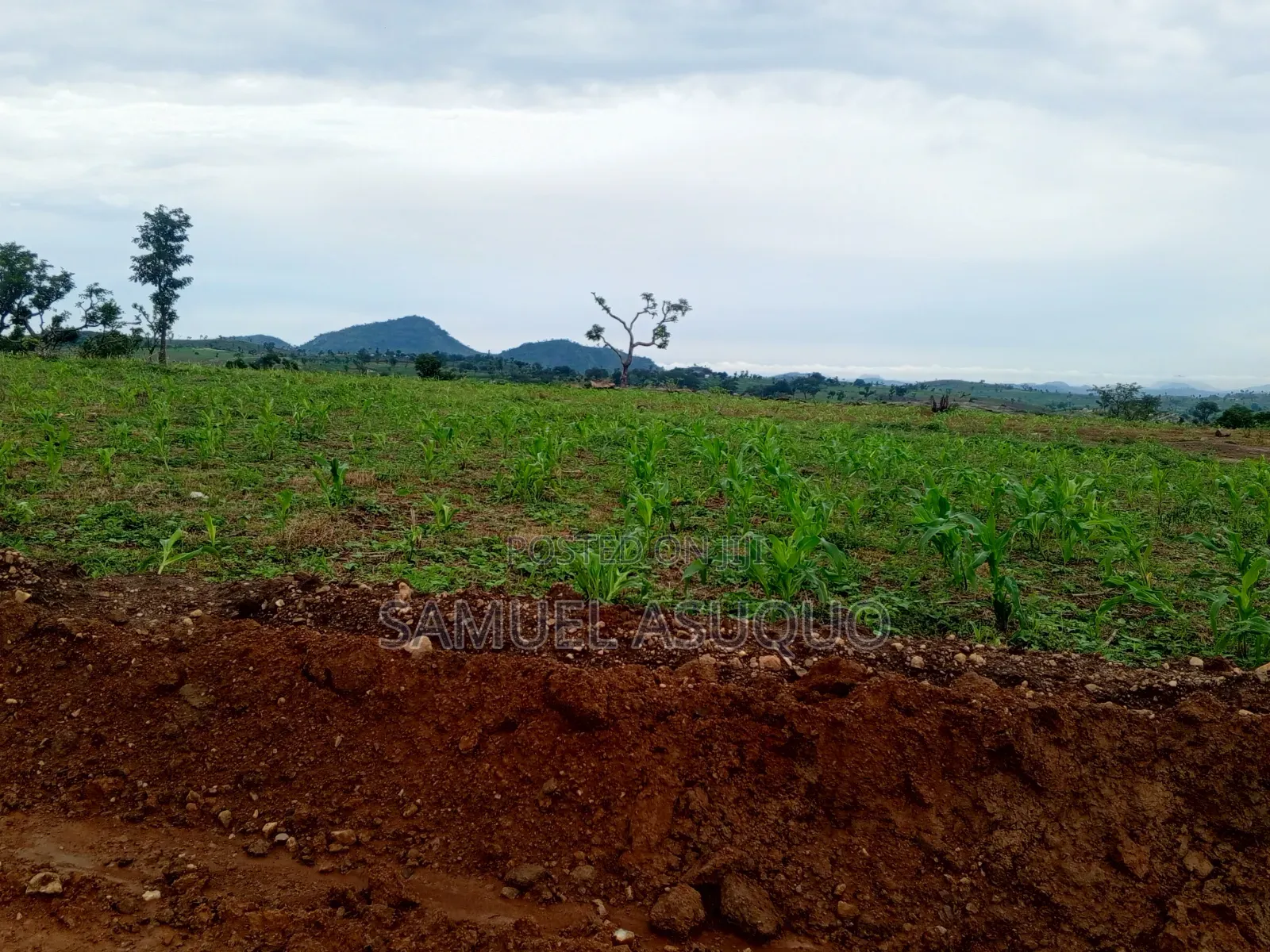 Estate Plots for Both Investors and Private Residential Purpose in Wasa