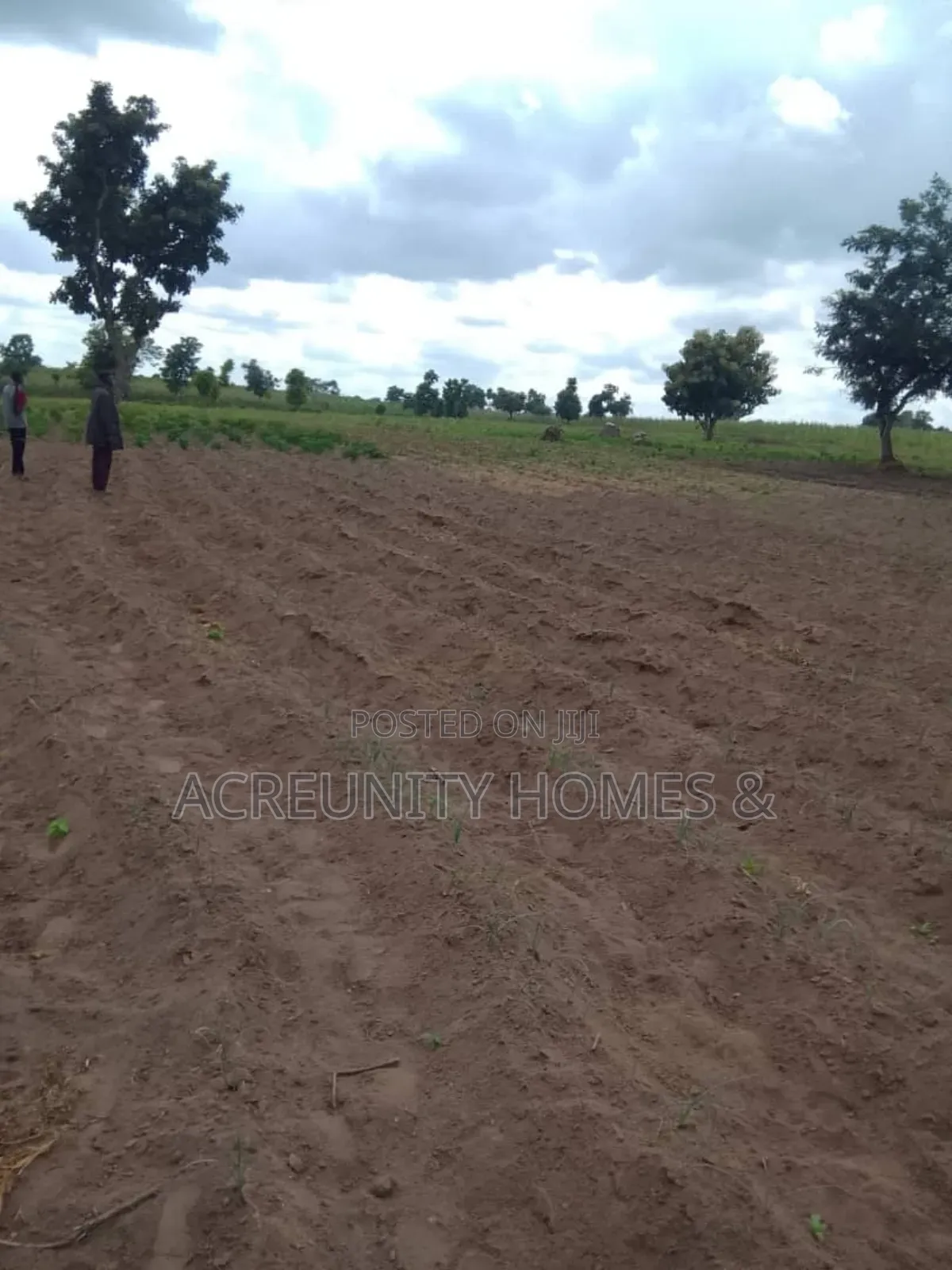 50 Acres of Fertile Farmland for Sale at Oni Yarin, Otu, Itesiwaju Lga in Itesiwaju