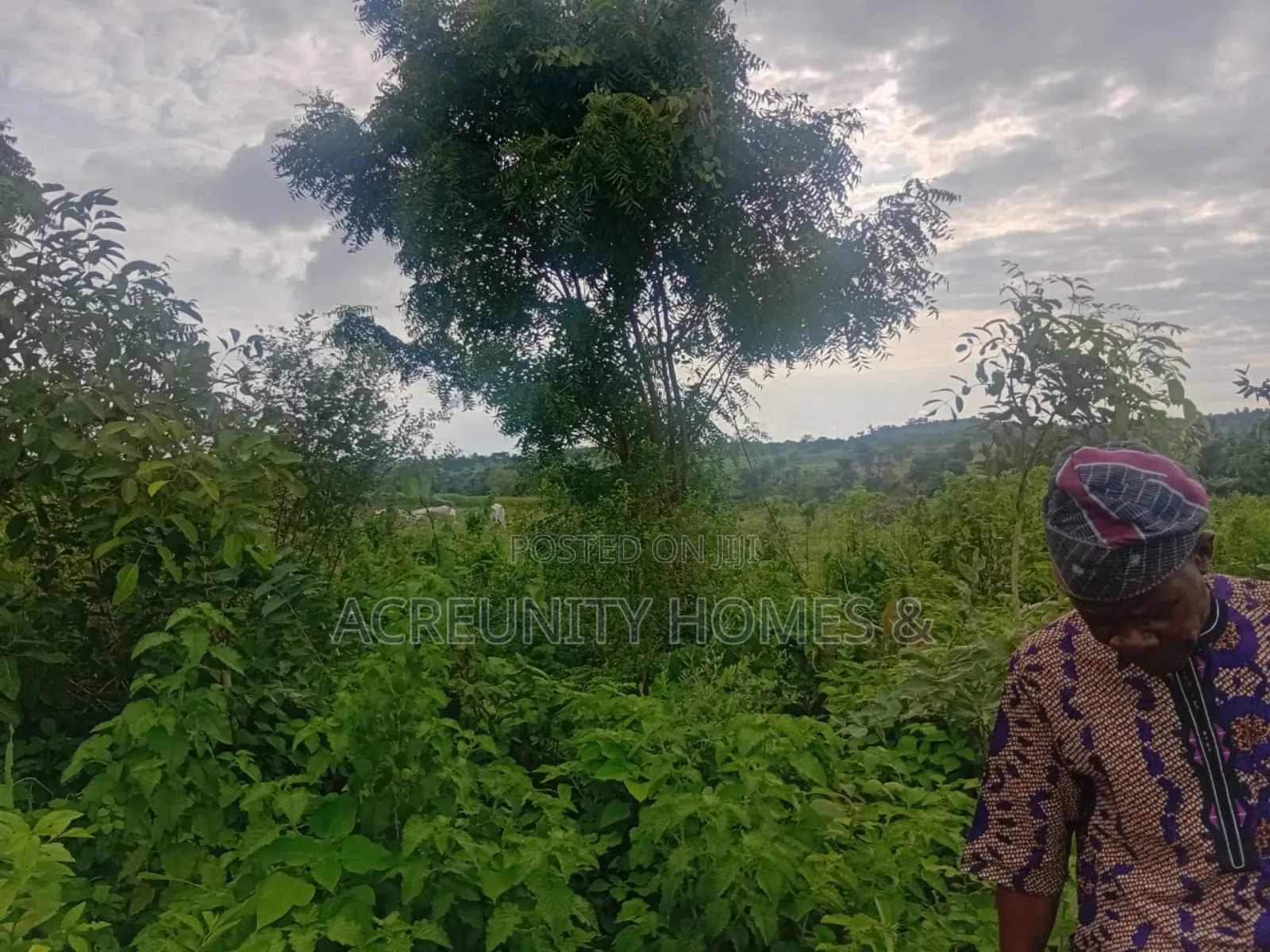 50 Acres of Fertile Farmland for Sale at Oni Yarin, Otu, Itesiwaju Lga in Itesiwaju