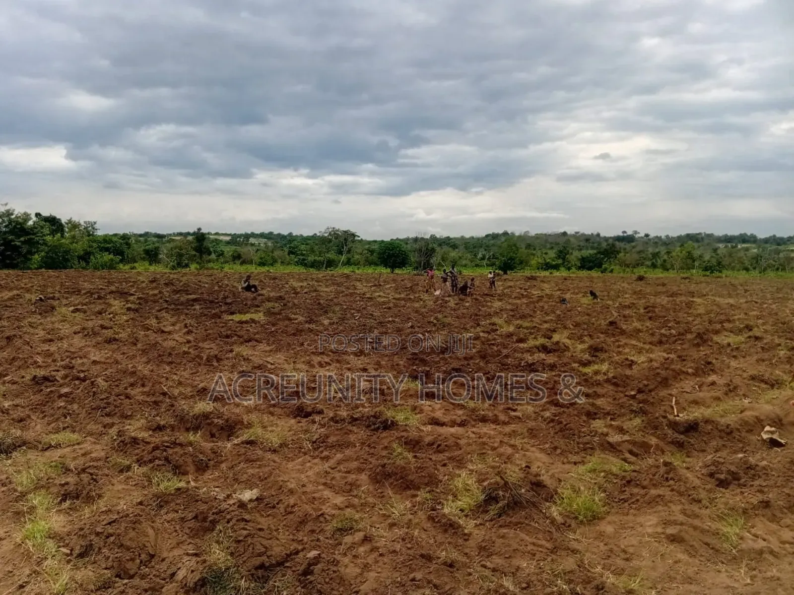 50 Acres of Fertile Farmland for Sale at Oni Yarin, Otu, Itesiwaju Lga in Itesiwaju