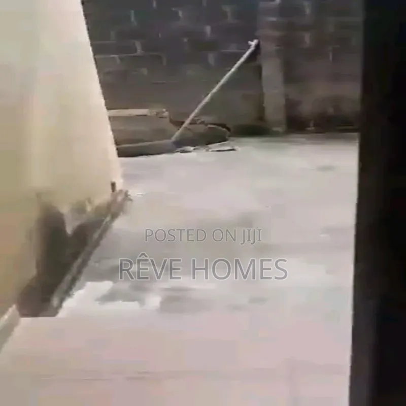 Studio Apartment in Shomolu / Shomolu for rent in Shomolu / Shomolu