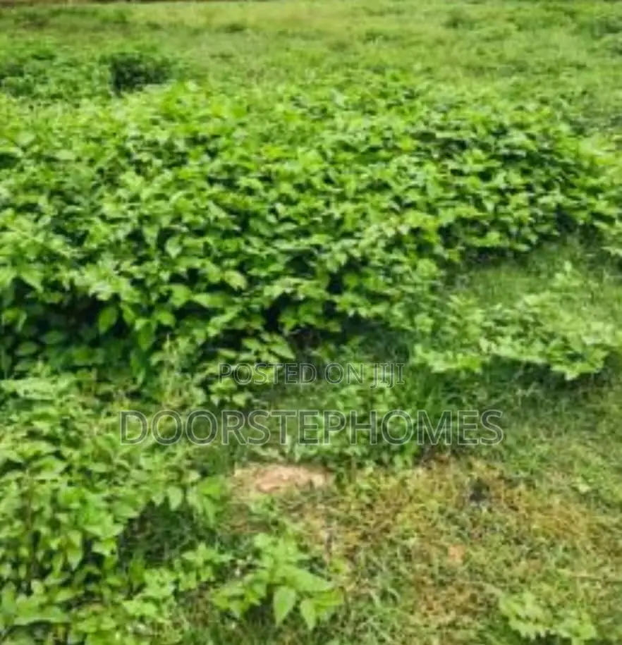 1200Sqm Residential Land in Kyami in Kiami