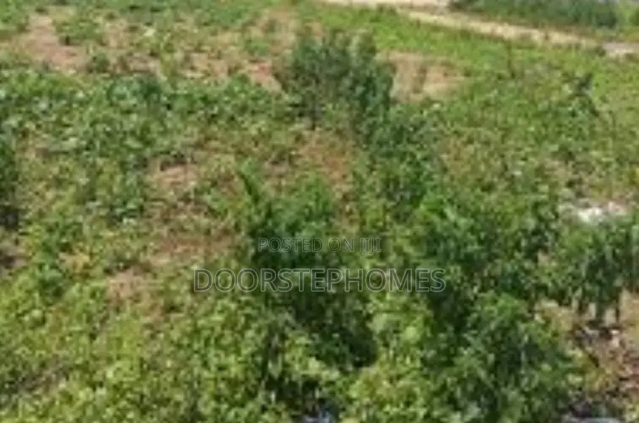 1200Sqm Residential Land in Kyami in Kiami