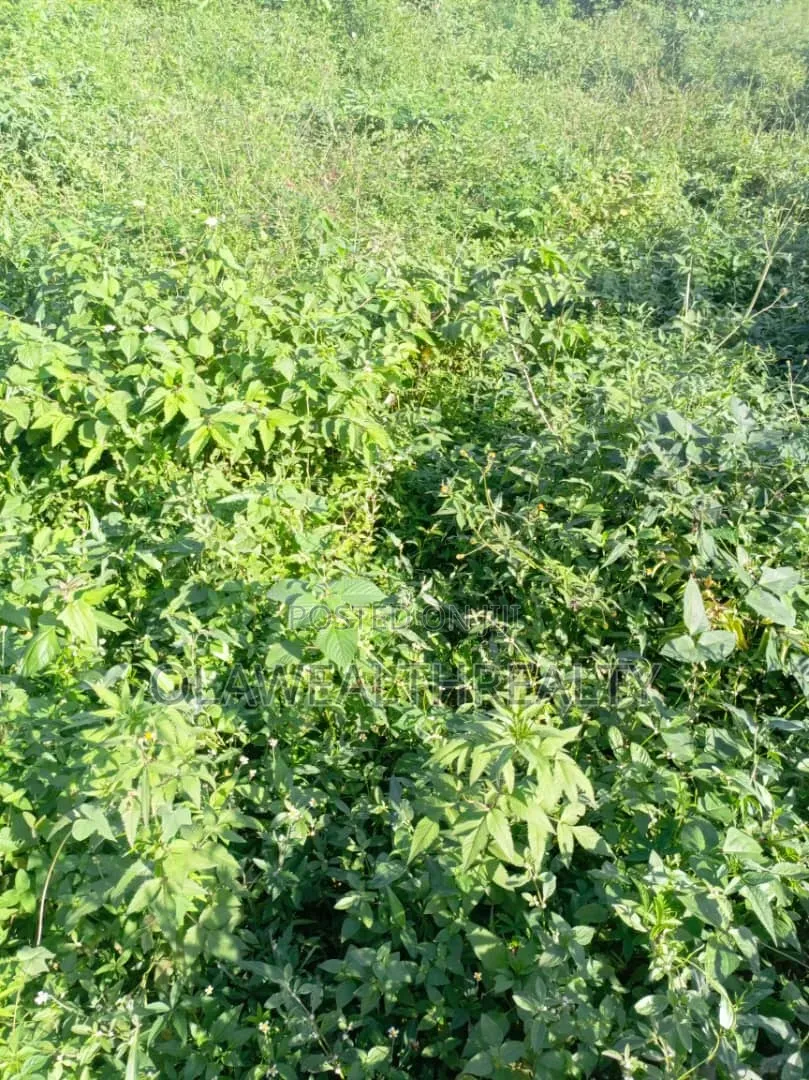 1,200sqm Commercial Land at Wuse 2 in Wuse 2